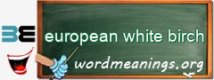 WordMeaning blackboard for european white birch